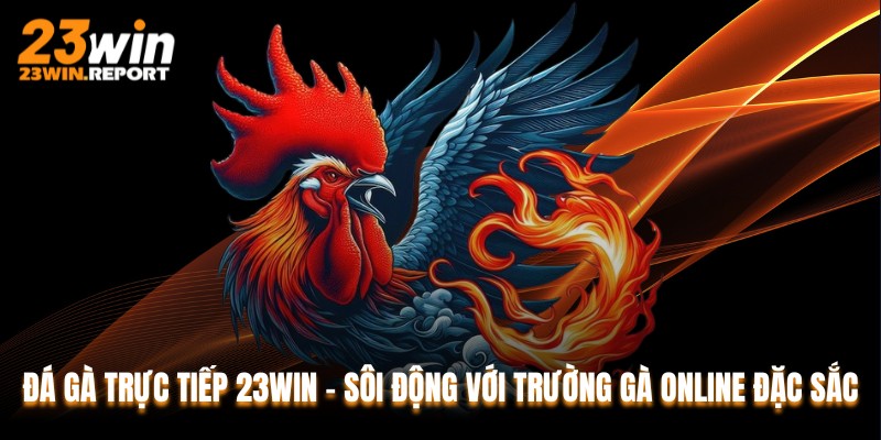 Đá Gà Trực Tiếp 23WIN - Sôi Động Với Trường Gà Online Đặc Sắc